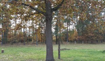 Działka rolna Rudka