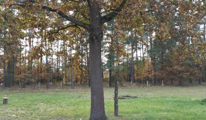 Działka rolna Rudka