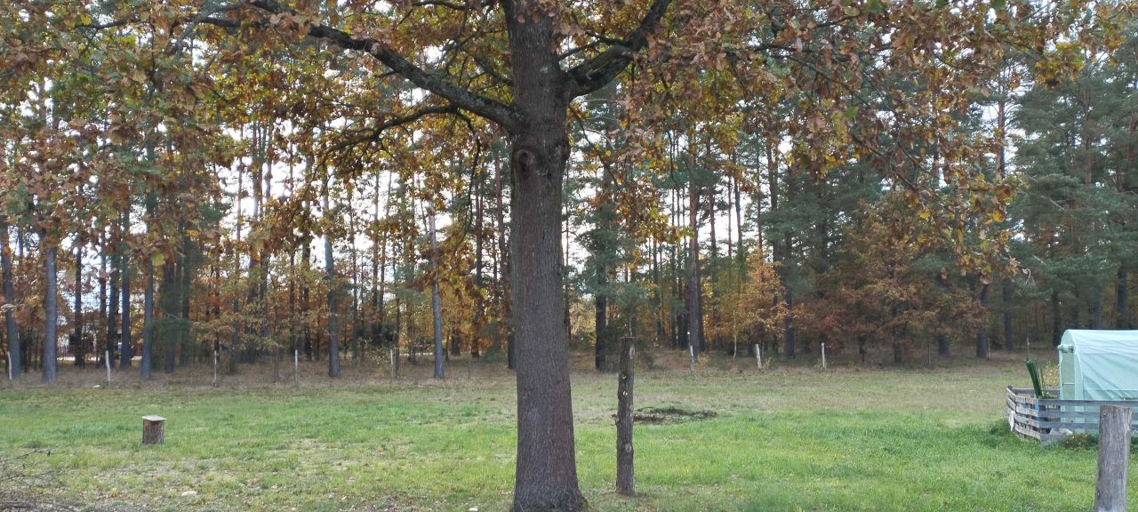 Działka rolna Rudka