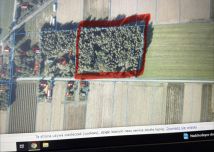 Działka rolno-budowlana Pokinianka. Zdjęcie 4