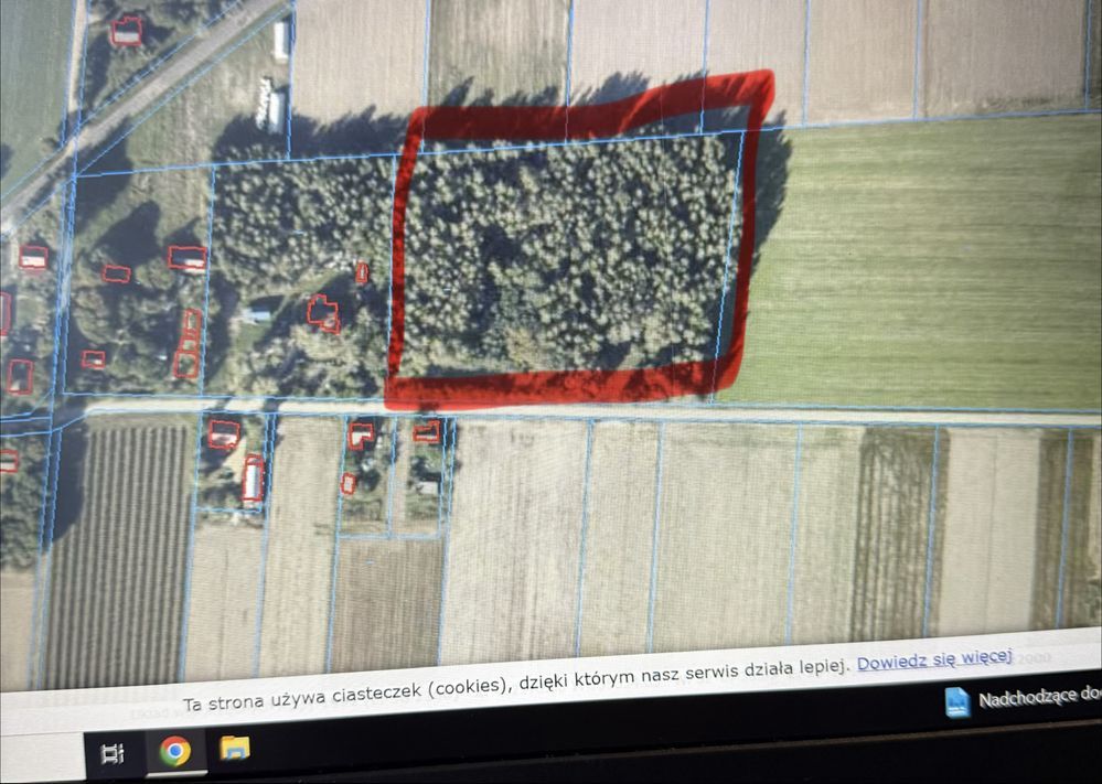 Działka rolno-budowlana Pokinianka. Zdjęcie 5