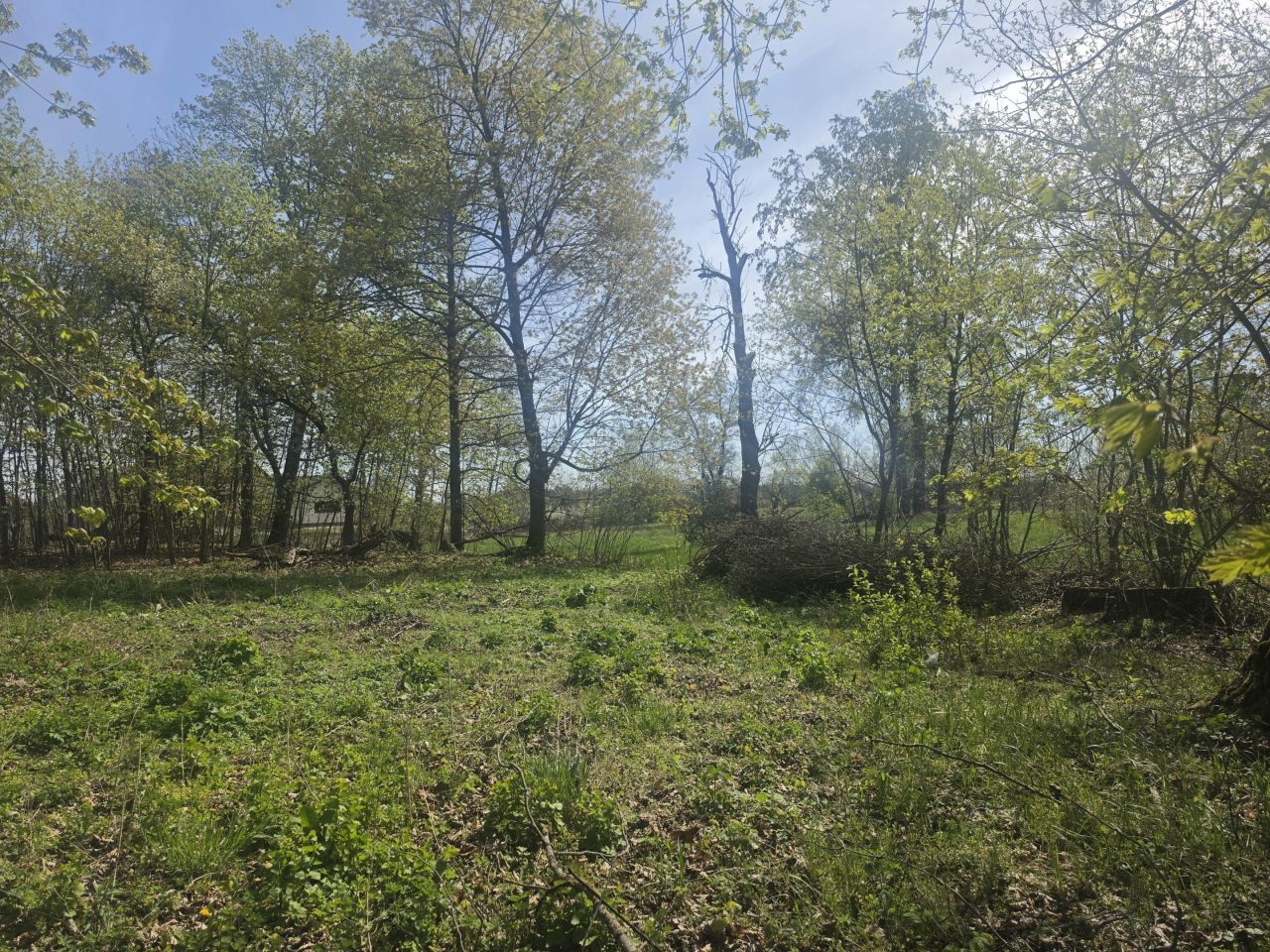 dom wolnostojący Mała Wieś przy Drodze, .. Zdjęcie 10