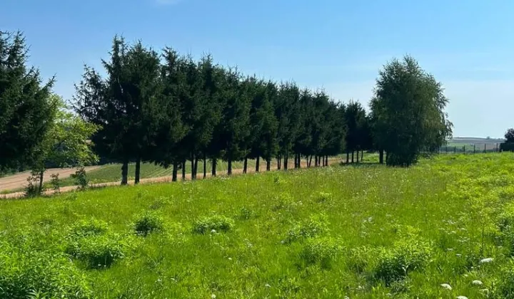 Działka rolna Pielgrzymowice, ul. Tatrzańska