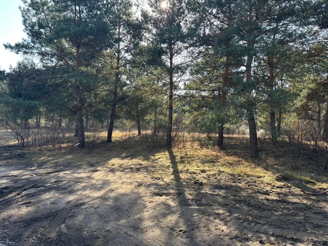 Działka budowlana Nowe Biskupice. Zdjęcie 6