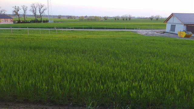 Działka budowlana Kalwy, ul. Wierzbowa. Zdjęcie 1