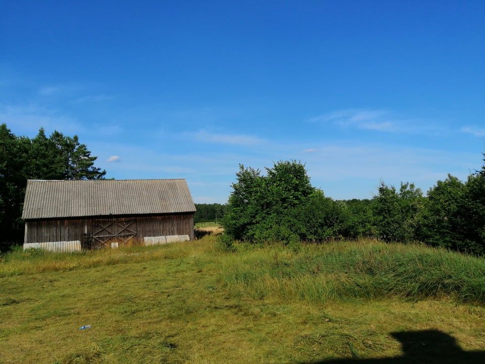 siedlisko, 4 pokoje Dłutówka Gałuszczyn. Zdjęcie 4