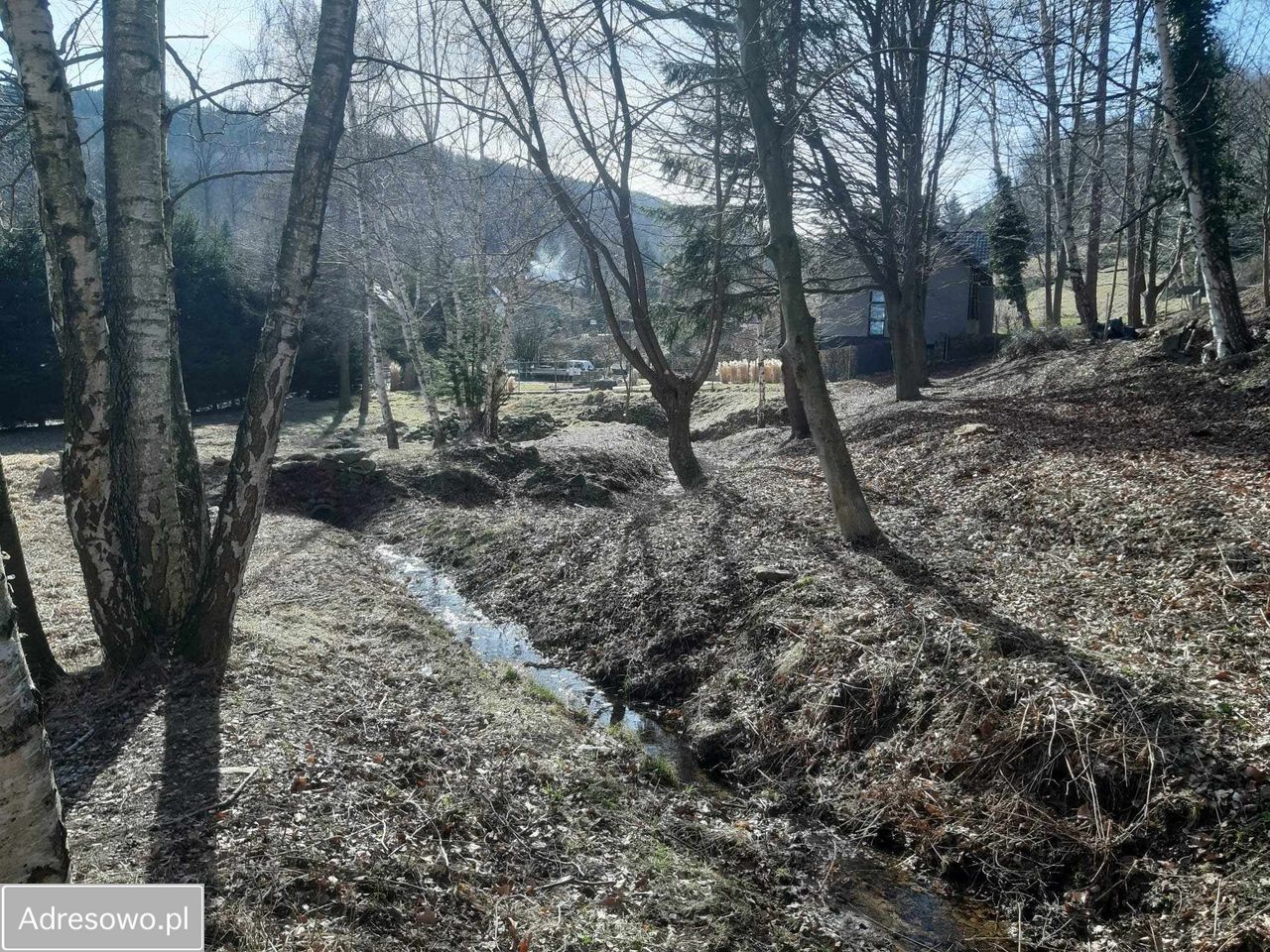 Działka budowlana Pieszyce Lasocin. Zdjęcie 3