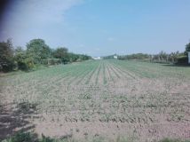 Działka rolna Kalisz, ul. Owsiana. Zdjęcie 4