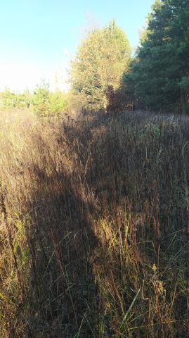 Działka inwestycyjna Zalesie. Zdjęcie 1