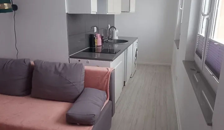 Mieszkanie 1-pokojowe Prusinowo