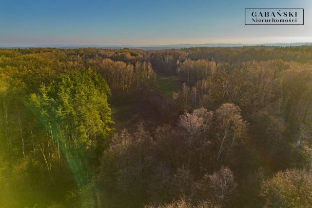 Działka budowlana Zaczarnie. Zdjęcie 10