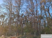 Działka rod Goleniów, ul. Polna. Zdjęcie 1