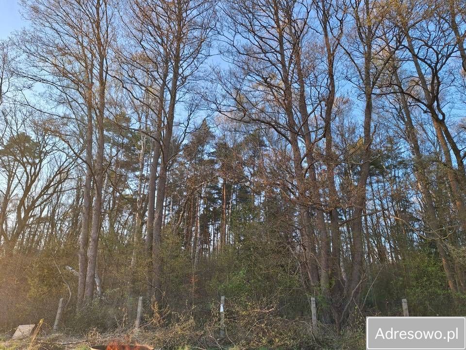 Działka rod Goleniów, ul. Polna. Zdjęcie 2