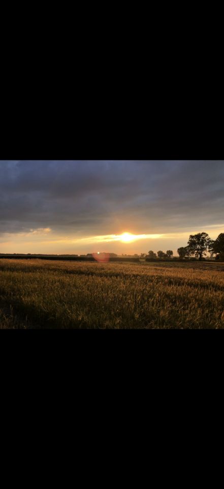 Działka budowlana Tarchalin, Wewnętrzna. Zdjęcie 9
