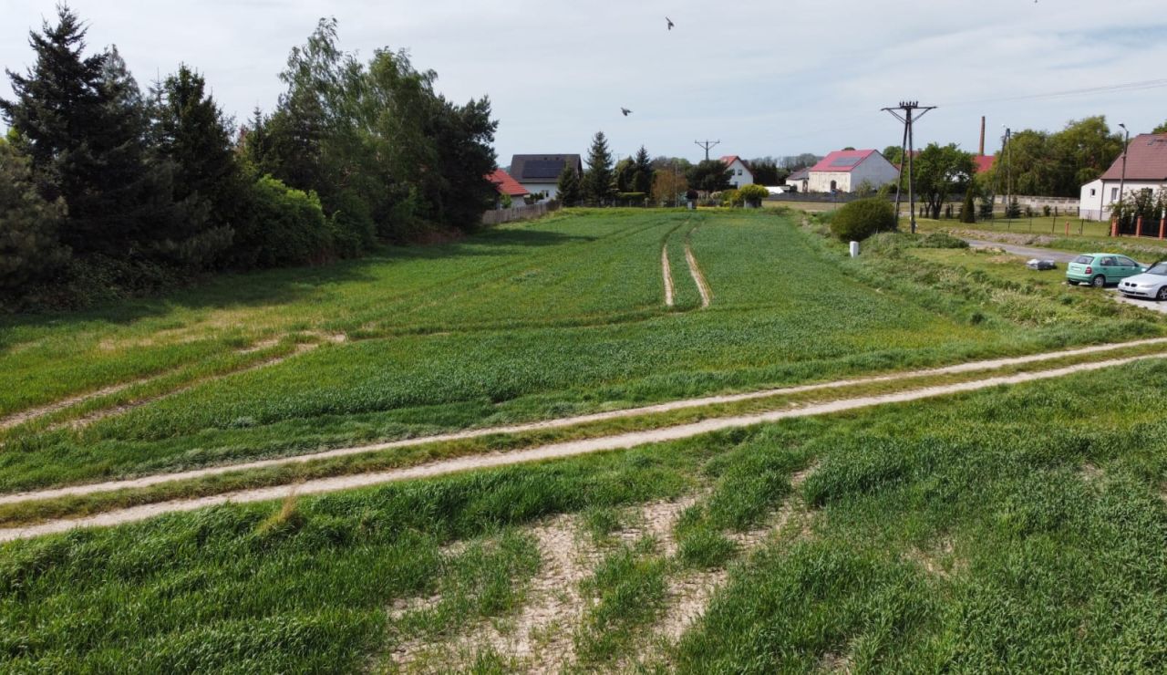 Działka rolno-budowlana Strzeganowice, ul. Złota. Zdjęcie 6