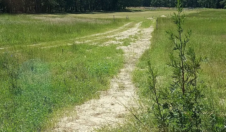 Działka budowlana Kobyla Góra