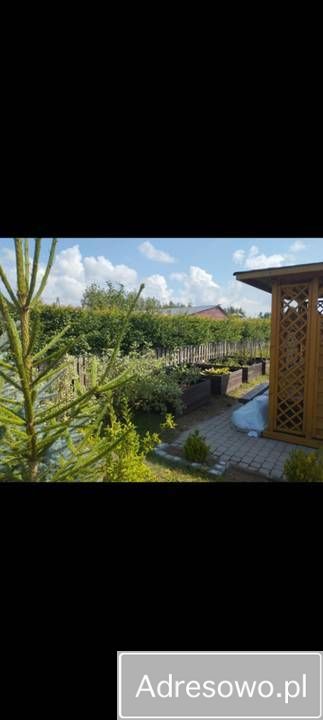 Działka rod Kuków. Zdjęcie 8