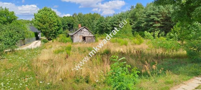 Działka siedliskowa Zimna Woda. Zdjęcie 4