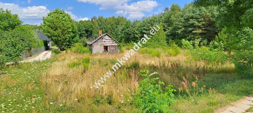 Działka siedliskowa Zimna Woda. Zdjęcie 4