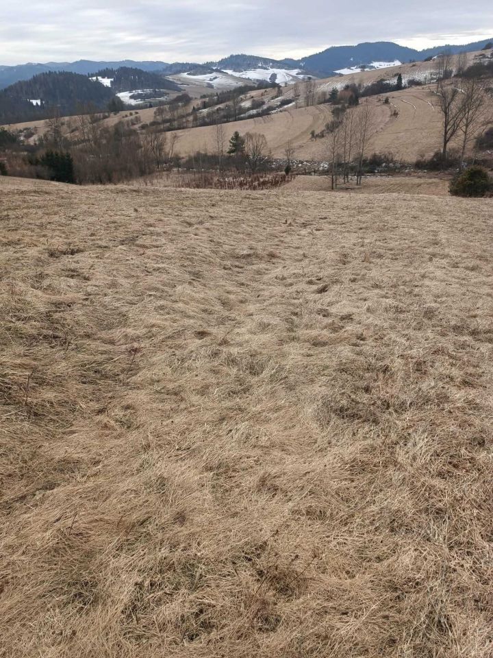 Działka rolna Sromowce Niżne. Zdjęcie 2