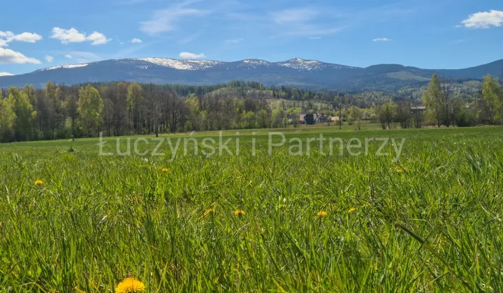 Działka siedliskowa Podgórzyn