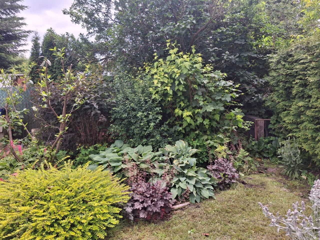 Działka rod Radom, ul. Szydłowiecka. Zdjęcie 5
