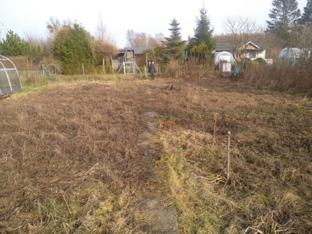 Działka rod Gdańsk Olszynka, ul. Łanowa. Zdjęcie 1