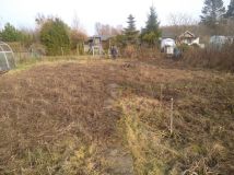 Działka rod Gdańsk Olszynka, ul. Łanowa