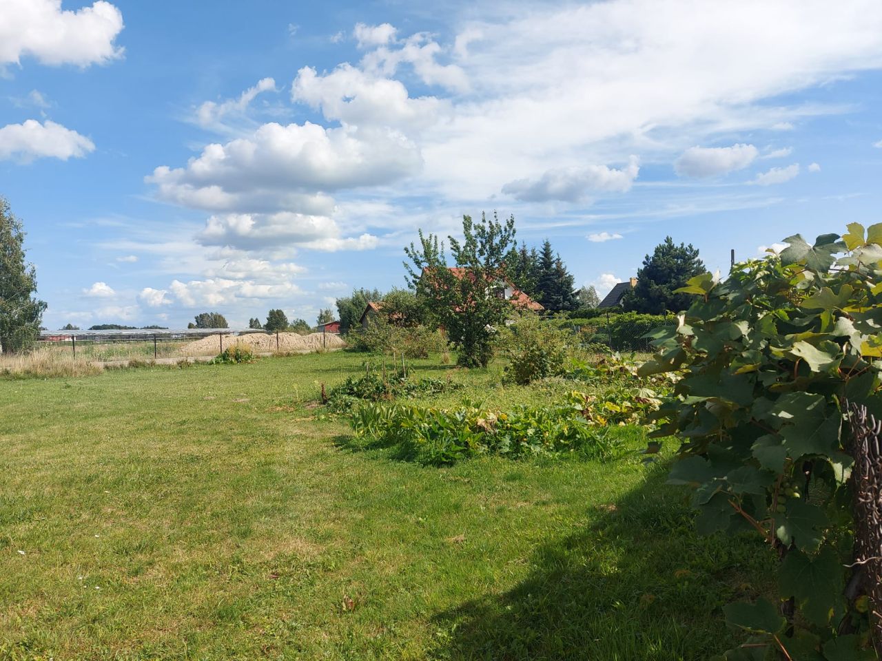 Działka rolno-budowlana Bielsk Podlaski Hołowiesk, ul. Górna. Zdjęcie 5