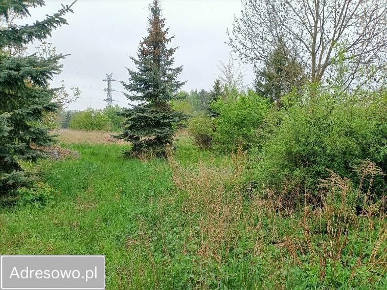 dom wolnostojący, 5 pokoi Ostrów Wielkopolski, ul. Nowa Krępa. Zdjęcie 11