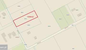 Działka budowlana Międzyświeć, ul. Jeżynowa