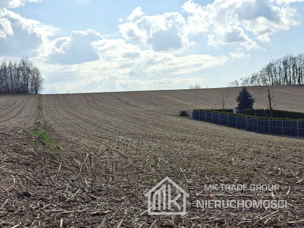 Działka Bodzanów. Zdjęcie 5