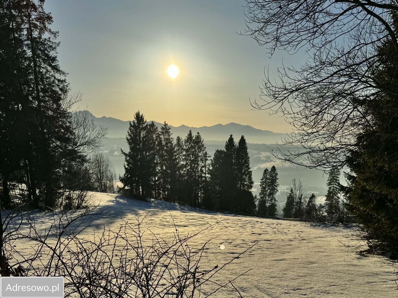 Działka budowlana Rzepiska, ul. Pawliki. Zdjęcie 6