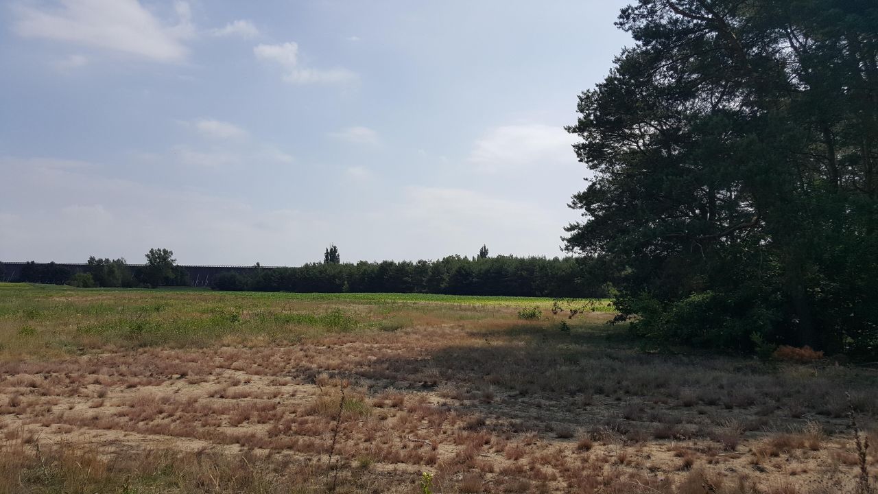 Działka budowlana Ciechocinek, ul. Wołuszewska. Zdjęcie 3