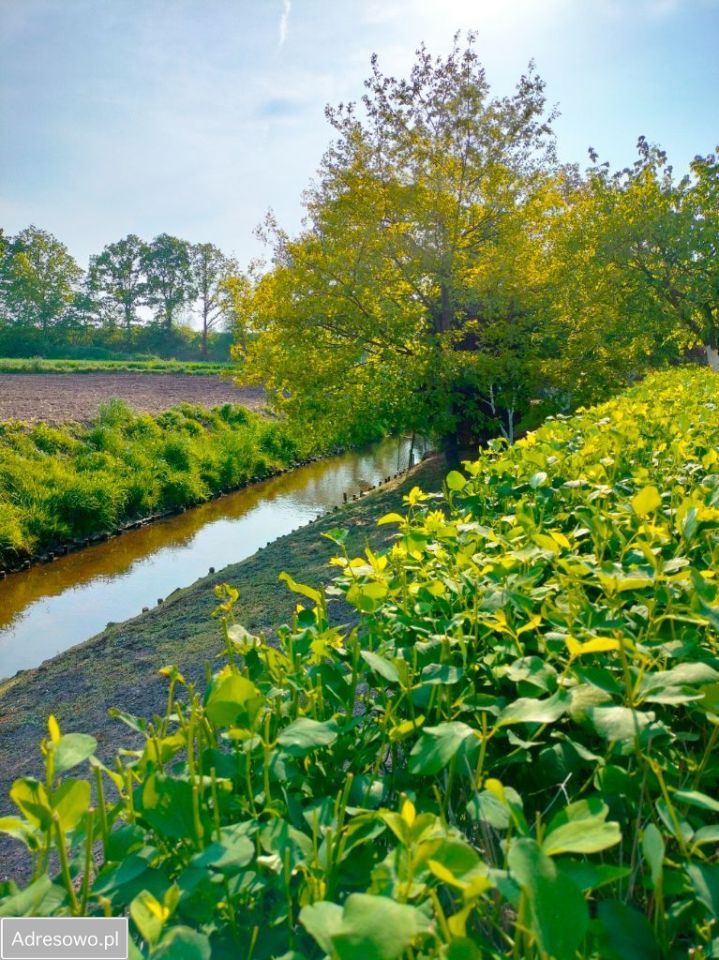 dom wolnostojący, 6 pokoi Żarki Średnie. Zdjęcie 8