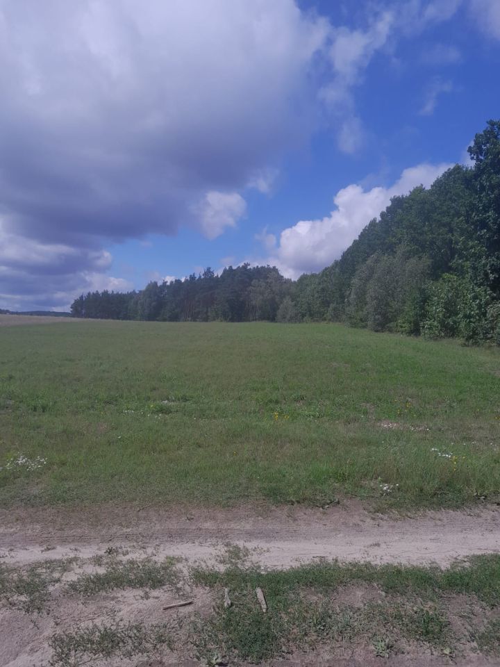 Działka budowlana Wiele Wiele-Wybudowanie. Zdjęcie 3