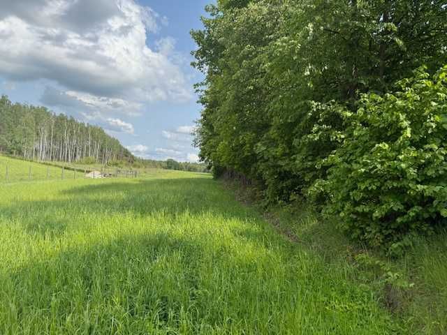 Działka rolna Tocznabiel. Zdjęcie 1