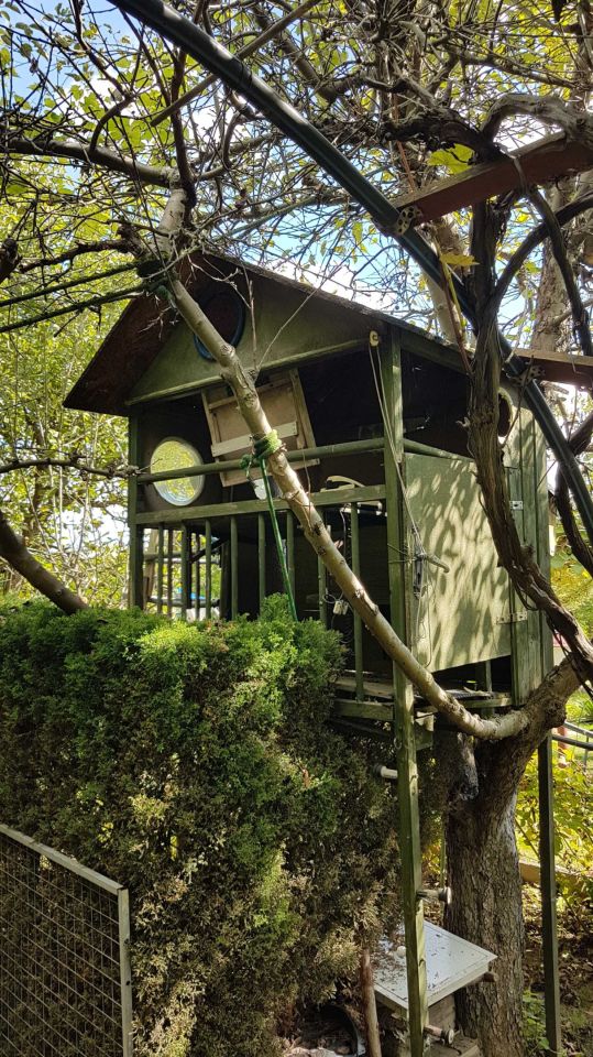 Działka rod Rzeszów, ul. Spółdzielcza. Zdjęcie 8