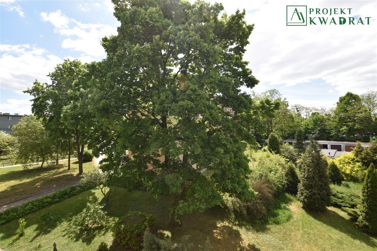 Mieszkanie 2-pokojowe Gliwice Łabędy, ul. Ludwika Waryńskiego. Zdjęcie 6