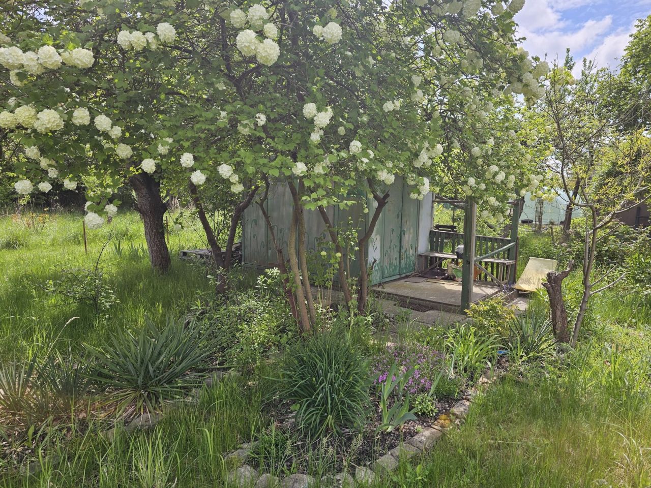 Działka rod Iwiny, ul. Polna. Zdjęcie 6