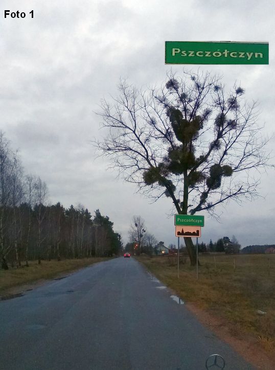 Działka budowlana Wielki Sosnowiec. Zdjęcie 4