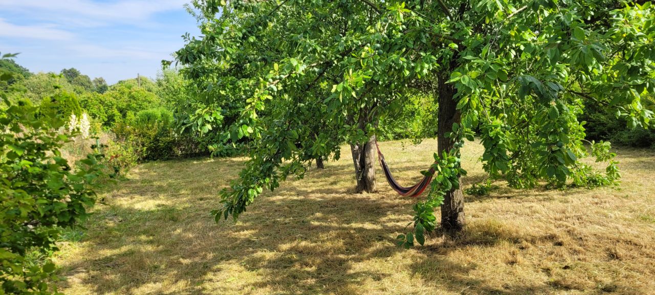 Działka rod Bolesławiec, ul. Jagiellonów
