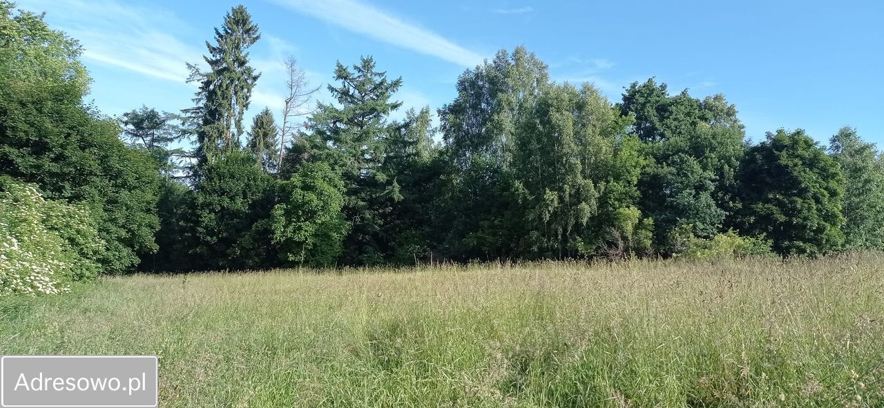 Działka budowlana Cetuń. Zdjęcie 5