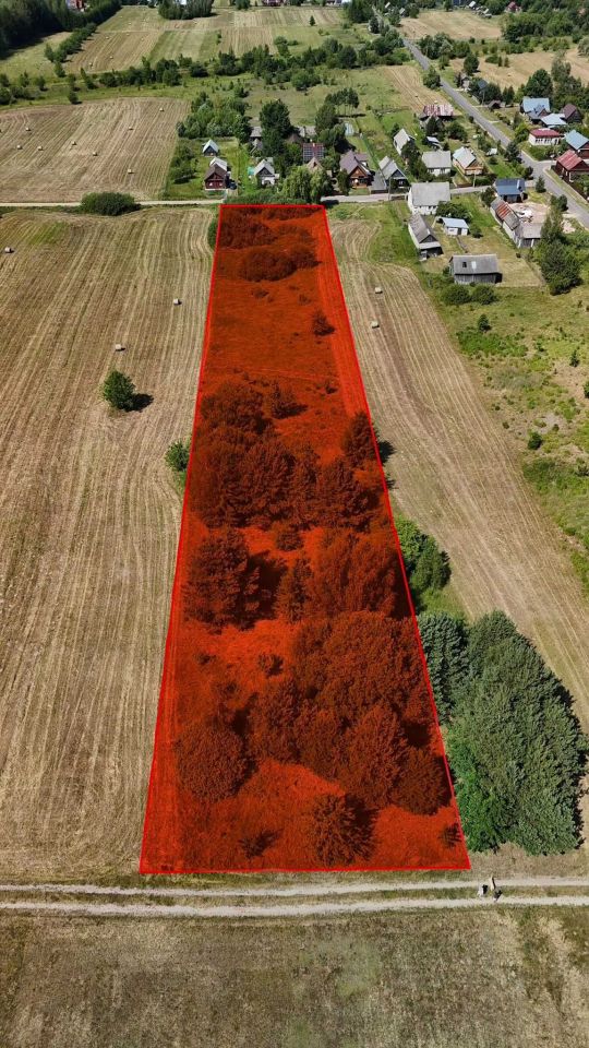 Działka budowlana Białowieża, ul. Podolany Drugie. Zdjęcie 2