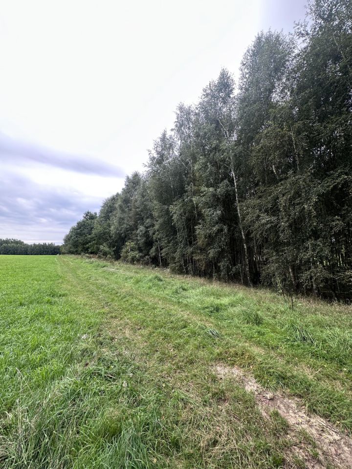 Działka leśna Łętowo. Zdjęcie 5