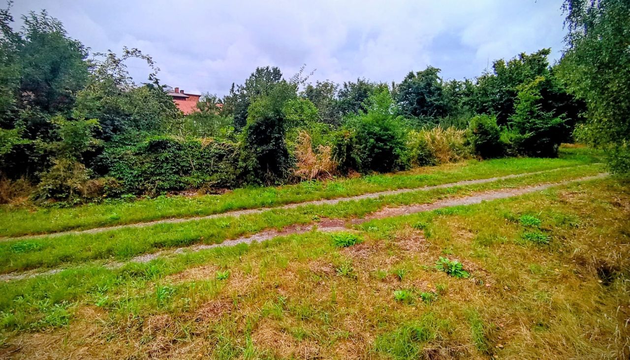 Działka budowlana Firlej, ul. Serocka. Zdjęcie 13