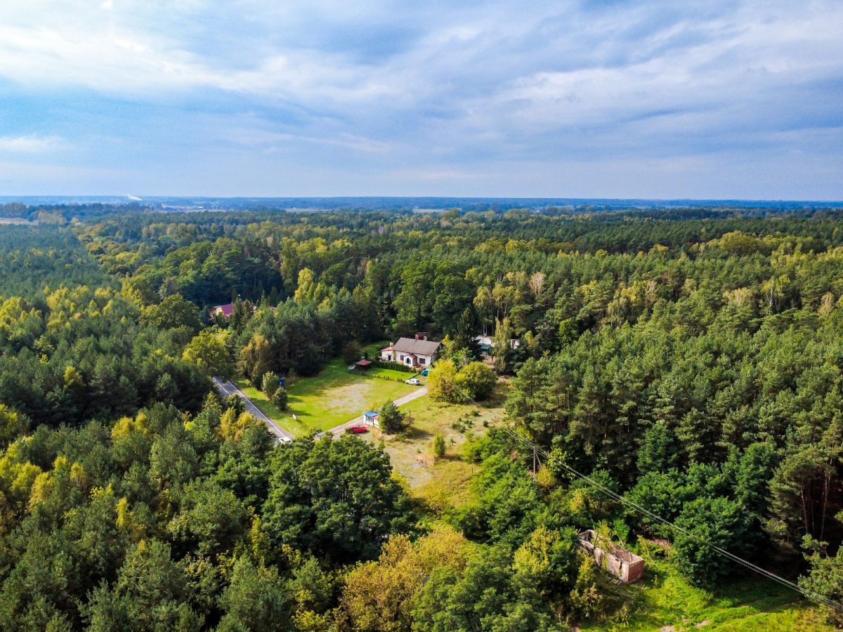 Działka inwestycyjna Florentynów. Zdjęcie 3