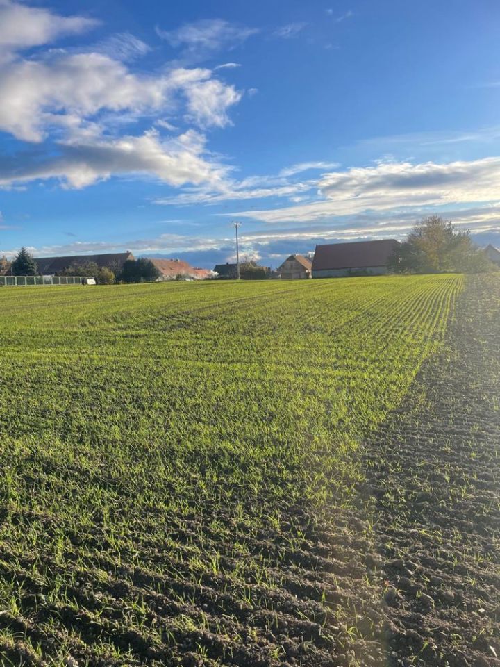 Działka budowlana Małuszów. Zdjęcie 5