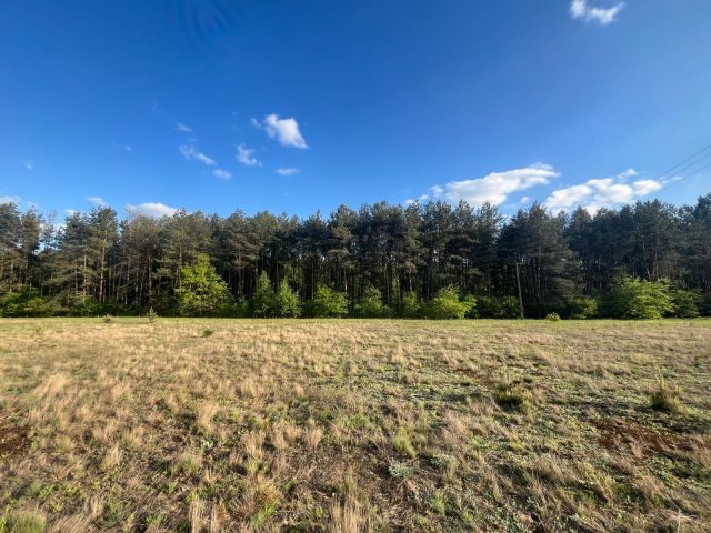 Działka budowlana Krzyżówka, ul. Wiejska. Zdjęcie 1