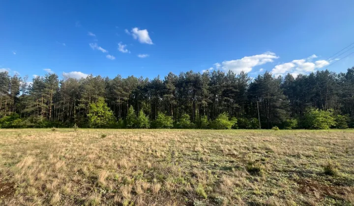Działka budowlana Krzyżówka, ul. Wiejska